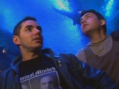 Бешенл Джеографик, 10 выпуск. Гонконг