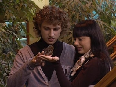 ДОМ-2 Город любви 1981 день Вечерний эфир (12.10.2009)