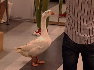 ДОМ-2 Город любви 2127 день Вечерний эфир (07.03.2010)