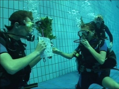 ДОМ-2 Город любви 2326 день Вечерний эфир (22.09.2010)