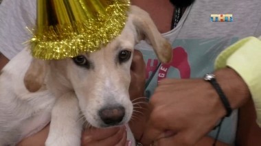 ДОМ-2 После заката 5185 день Ночной эфир (21.07.2018)