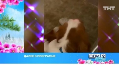 ДОМ-2 После заката 5706 день Ночной эфир (24.12.2019)