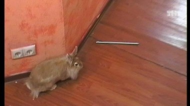 Ночной эфир 1987 дня