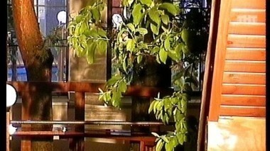 ДОМ-2 После заката 2228 день Ночной эфир (16.06.2010)