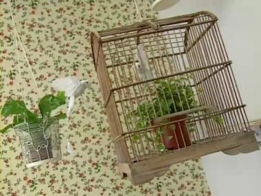 Школа ремонта, 3 сезон, 46 выпуск. Первоклассная комната