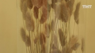 ДОМ-2. Спаси свою любовь, 20 сезон, 120 серия