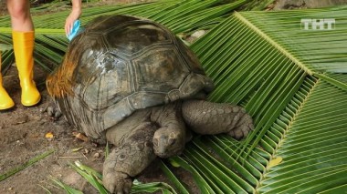 ДОМ-2. Спаси свою любовь, 20 сезон, 73 серия