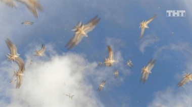 ДОМ-2. Спаси свою любовь, 20 сезон, 84 серия