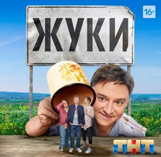 Жуки