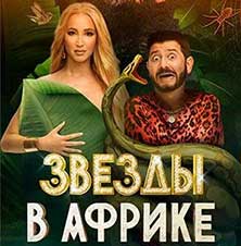 Звезды в Африке